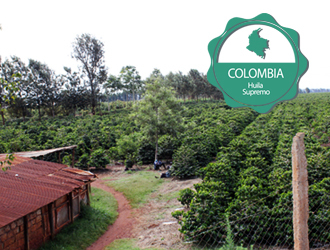 1kg 콜롬비아 Colombia Huila Supremo