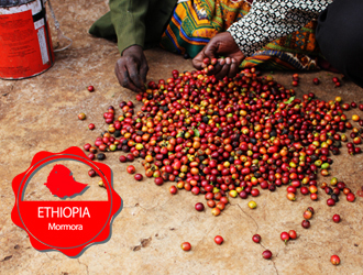 500g 모모라네츄럴 Ethiopia Mormora Natural