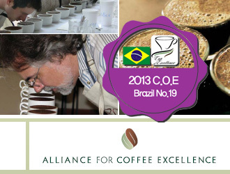 500g / 2013 COE 브라질 #19