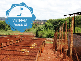 1kg 베트남 Vietnam Robusta