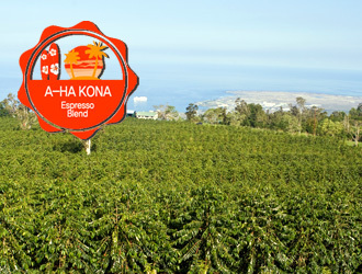 1kg A-HA 코나 Blend