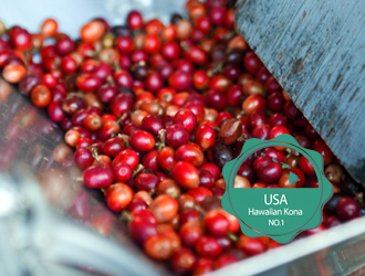 500g 코나 넘버원 Kona No.1