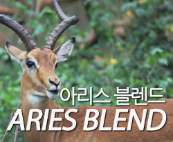 아리스 블렌드 Aries Blend 1kg