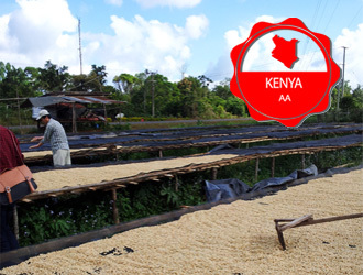 1kg 케냐 Kenya AA